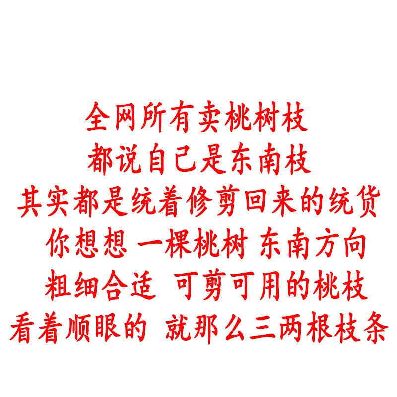 100%正东南老桃木段桃木棍桃树枝桃木枝五色绳随身婴儿真桃木挂件