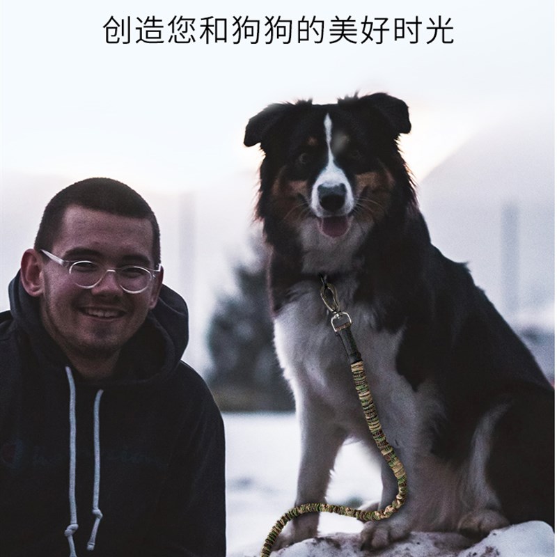遛狗外出牵引绳狗链金毛拉布拉多大中型犬防爆冲弹力绳子宠物用品