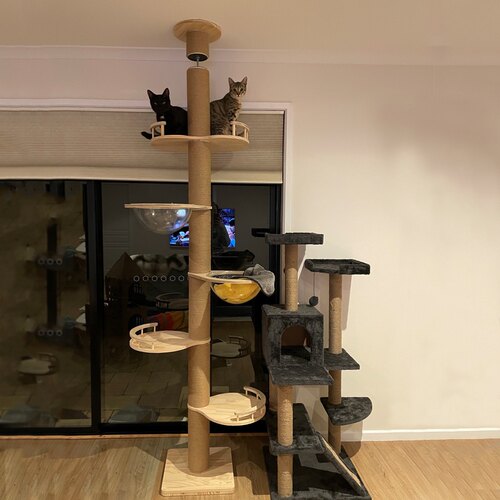 简易通天柱柱猫爬架不占地猫窝猫树一体顶天立地猫架猫屋麻绳实木
