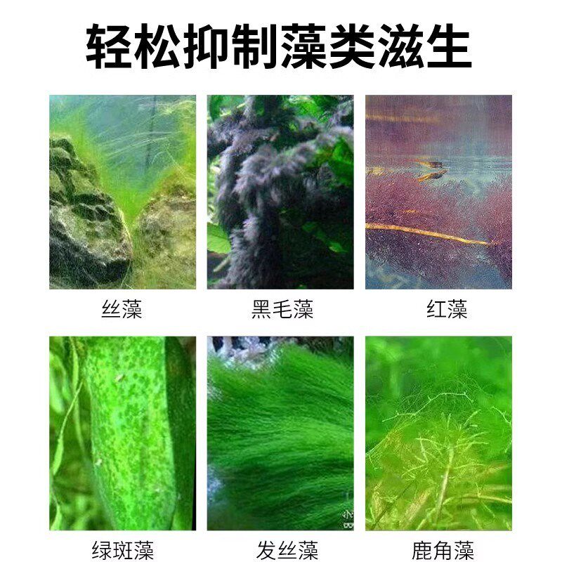 鱼缸除藻去苔剂净水一滴清青苔褐藻丝藻黑毛藻克星鱼缸专用免换水