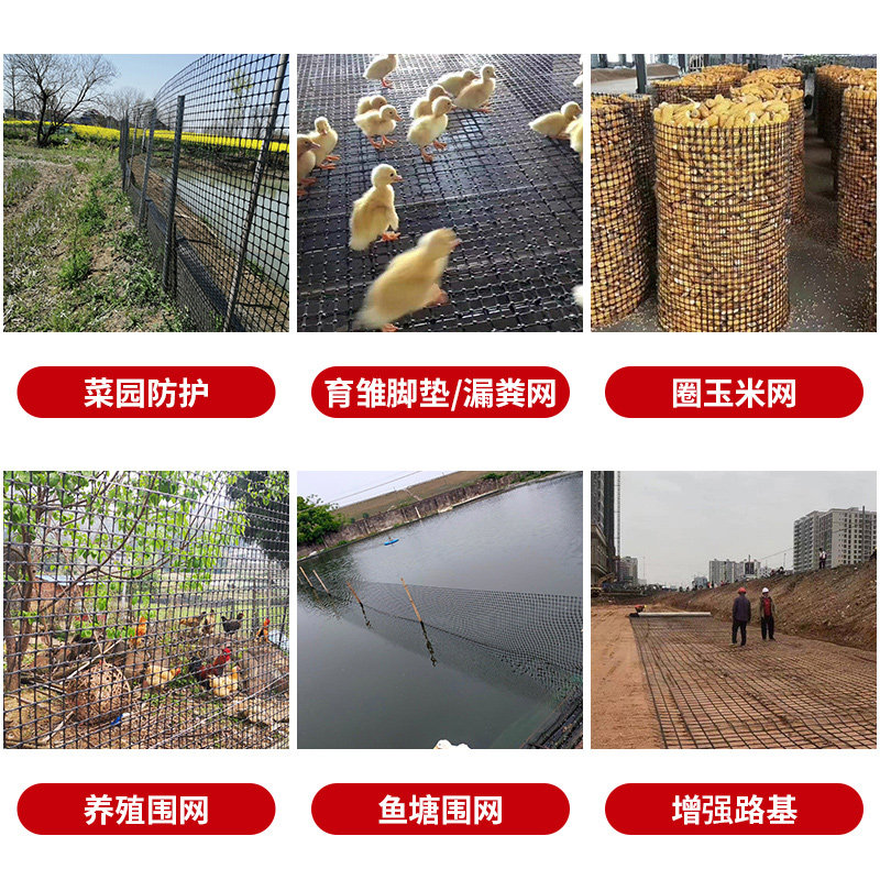 塑料网养鸡拦网格防护围栏养殖场户外围网小孔家用隔离栅栏圈玉米