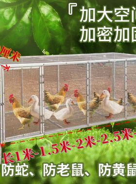 组装鸡笼子特大号加密鸡笼密网加厚鹅笼特大号家庭养鸡笼鸡鸭家用