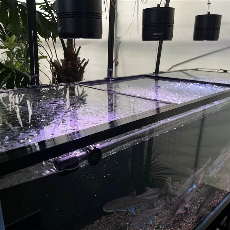 定制鱼缸玻璃盖板推拉乌龟缸保温盖背滤龙鱼缸盖透光盖防跳网盖