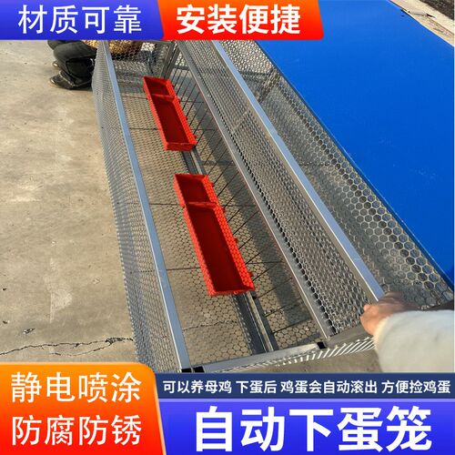 鸡笼家用室外新型防雨防黄鼠狼防鼠养殖鸡笼防啄鸡全防护下蛋鸡笼