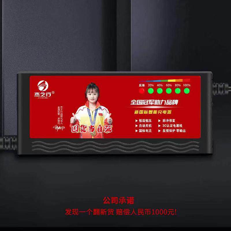 杰之行6灯充电器电动车智能快充充电器国标品质通用型