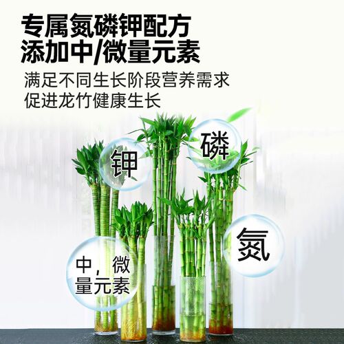 龙竹营养液文昌竹专用肥治叶子发黄水培植物生根水溶液体肥富贵竹