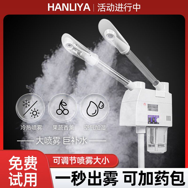 泰东热喷仪美容院专用冷热双喷蒸脸器家用脸部水疗补水纳米喷雾机