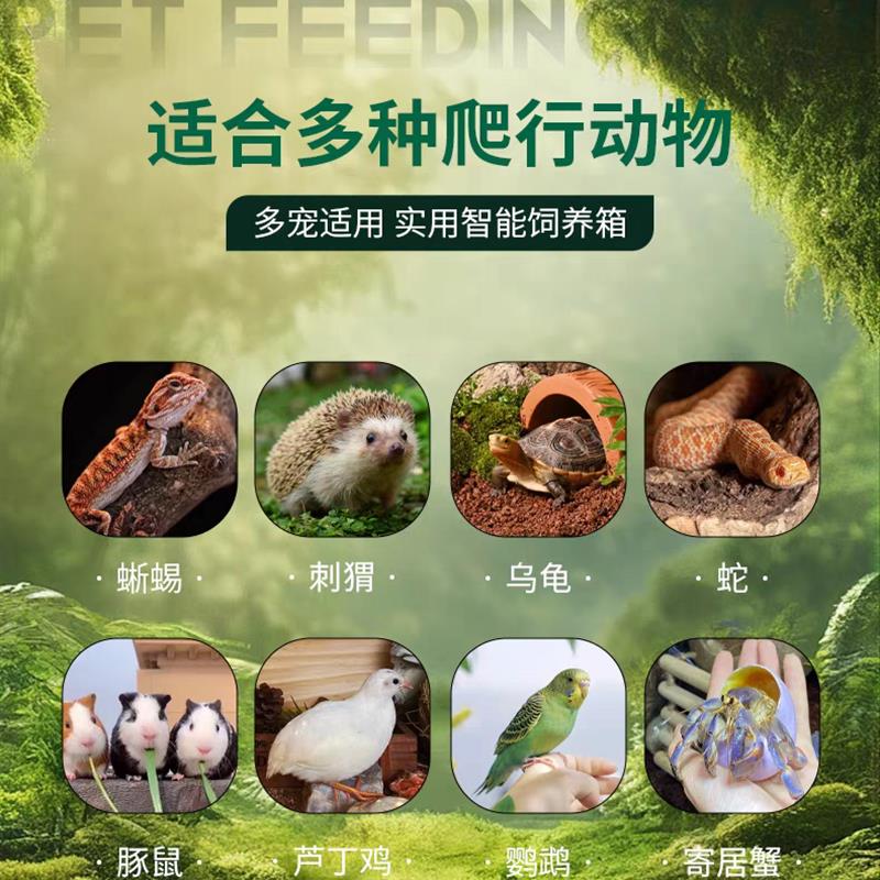 智能全景实木爬宠饲养箱恒温箱守宫刺猬陆龟蜥蜴角蛙蛇加温木箱保