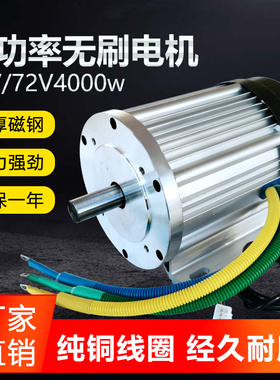 电动三轮车48V60V4000W直流大功率无刷电机清洗机升降机设备改装