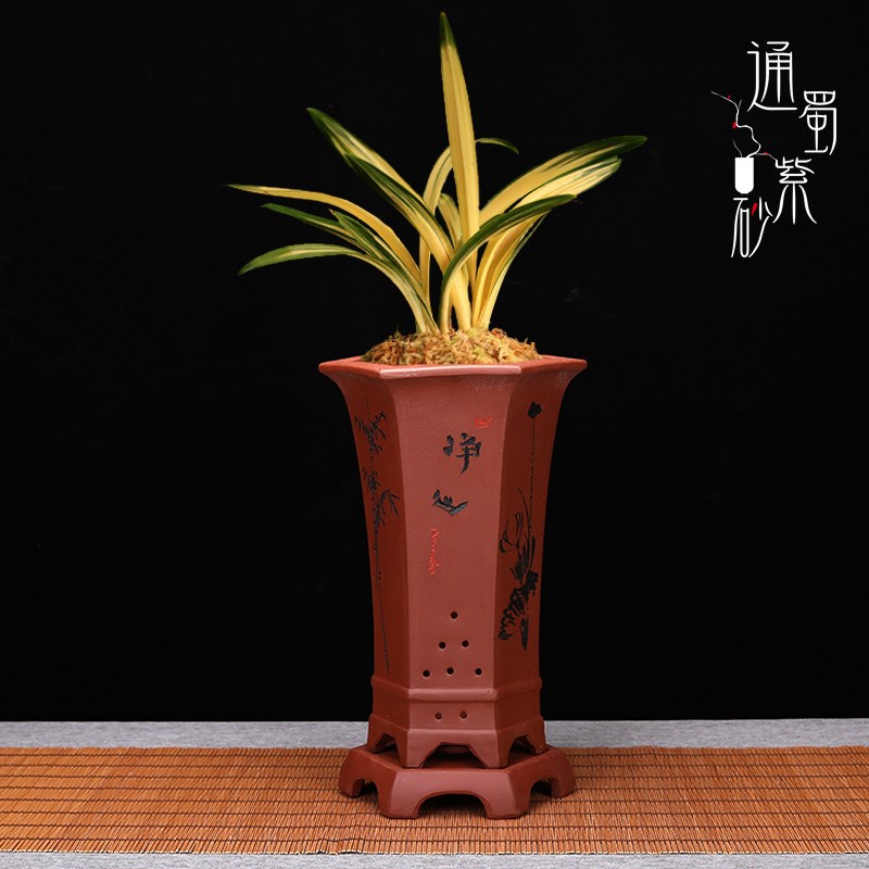 精品紫砂兰花专用盆带托盘高束腰六方刻绘室内手工陶瓷盆栽兰草盆