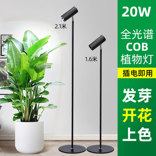 家用植物补光灯全光谱仿太阳光植物灯多肉月季室内植物生长灯落地
