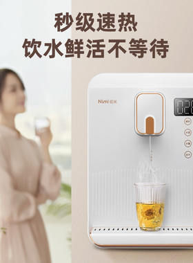 纽米管线机壁挂式速热冰热两用制冷家用调温即热式冷热饮水直饮机