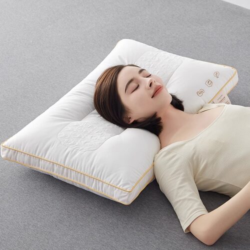 全棉大豆枕头芯一对家用护颈椎助睡眠酒店专用学生宿舍软整头枕头