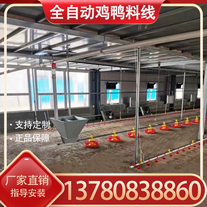 养鸡场全自动喂料机料线水线全套养殖设备平养鸡鸭棚饮水器喂食器