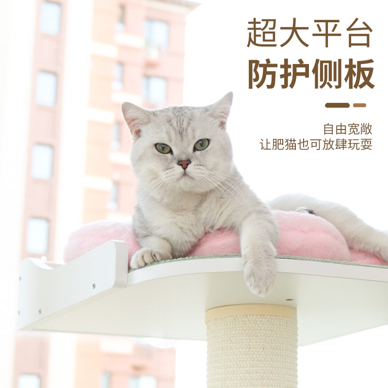 观景台看鸟台实木猫爬架阳台玻璃吸盘猫窝剑麻猫抓柱猫抓板图片