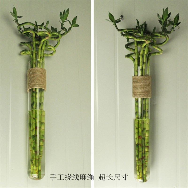 新品zakka富贵竹麻绳玻璃花瓶转运竹大花插花器家居装饰墙面壁挂