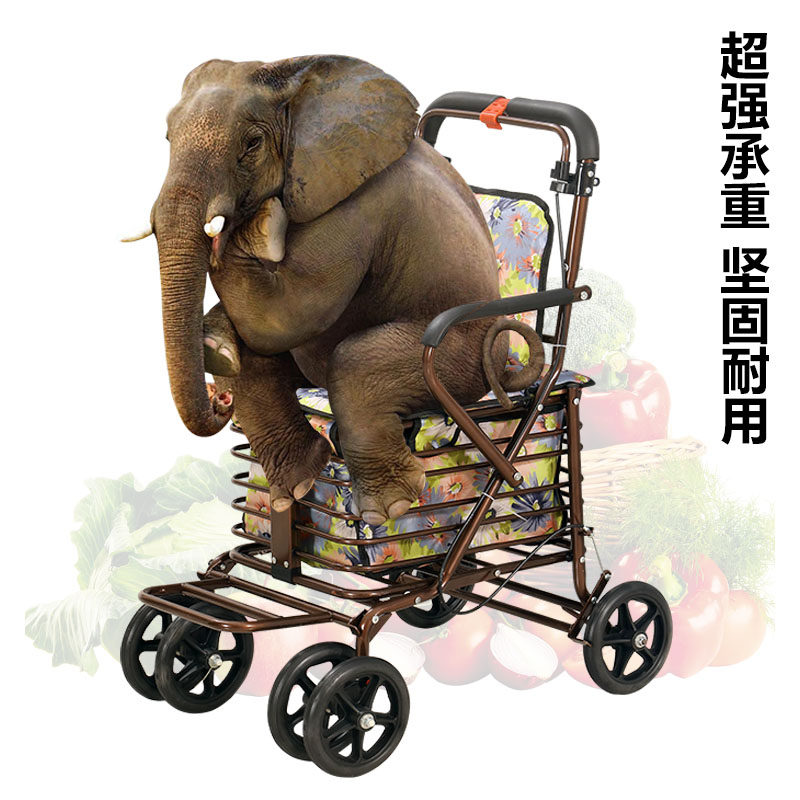拉杆买菜老年推车可推可坐车购物车老人助行代步车手推小拉车折叠