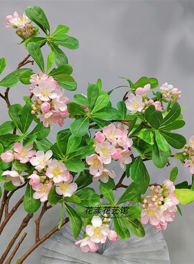 高端仿真海桐花仿真花绿植树叶树枝假花客厅装饰摆放插花假树造景