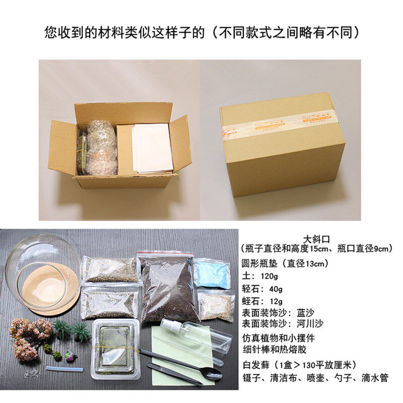 包邮苔藓微景观生态瓶创意diy组合盆栽新奇植物龙猫礼物办公室
