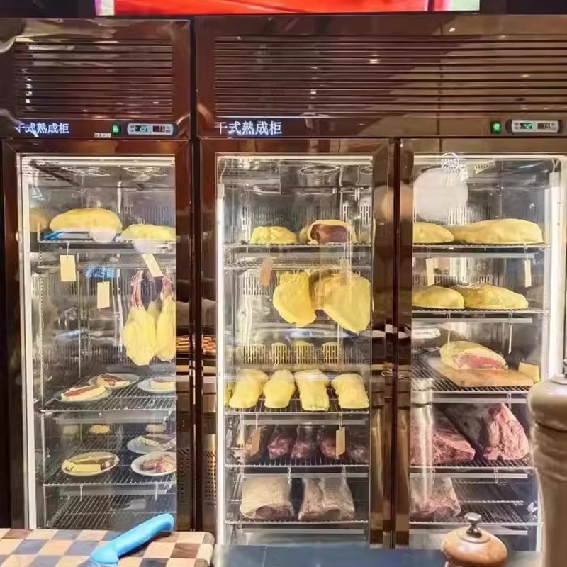 牛肉熟成柜干式湿式排酸柜商用鱼肉牛排柜智能恒温保鲜冷藏展示柜