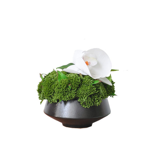 新中式仿真植物花艺桌面摆件多肉绿植盆景办公室内家居装饰art428