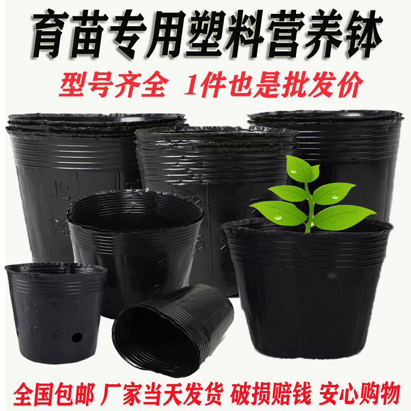 树苗袋育秧盆营养钵塑料黑色育苗盆育苗杯西瓜杯营养钵杯一次性