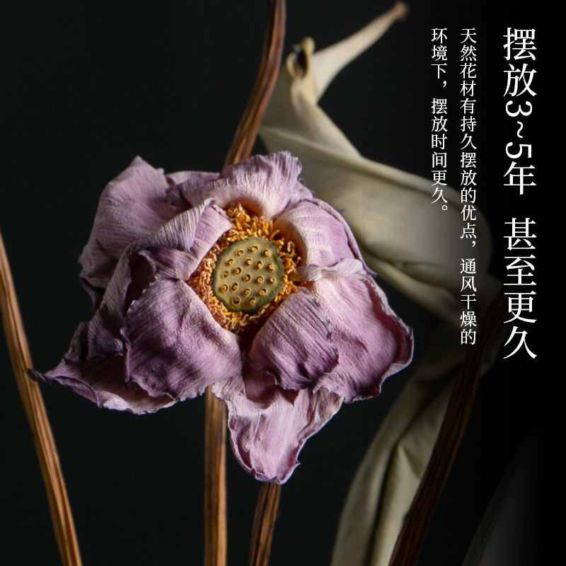 大花瓶干花花束客厅摆设装饰摆件禅意莲蓬真花风干天然落地大束