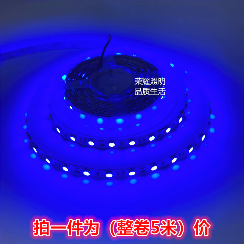 led蓝色灯带户外防水5050贴片铜支架超亮低压12V蓝光灯条工程设备