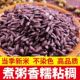云南紫米农家墨江紫米饭家用无染色紫米色紫糯米