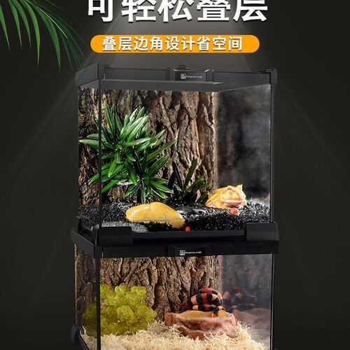 BG雨林造景爬宠饲养箱守宫蜥蜴蜘蛛角蛙爬虫宠玻璃生态缸鬃狮蜥蜴