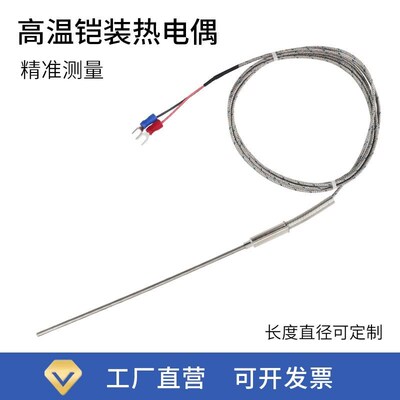 K型铠装热电偶GH3039探针WRNK-191耐尔高温高精度可弯曲0-1300度