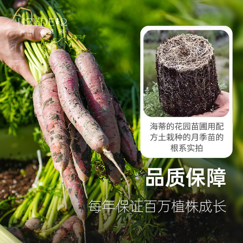 海蒂的花园 营养土奥绿肥骨粉羊粪通用月季绣球专用土种菜专用土