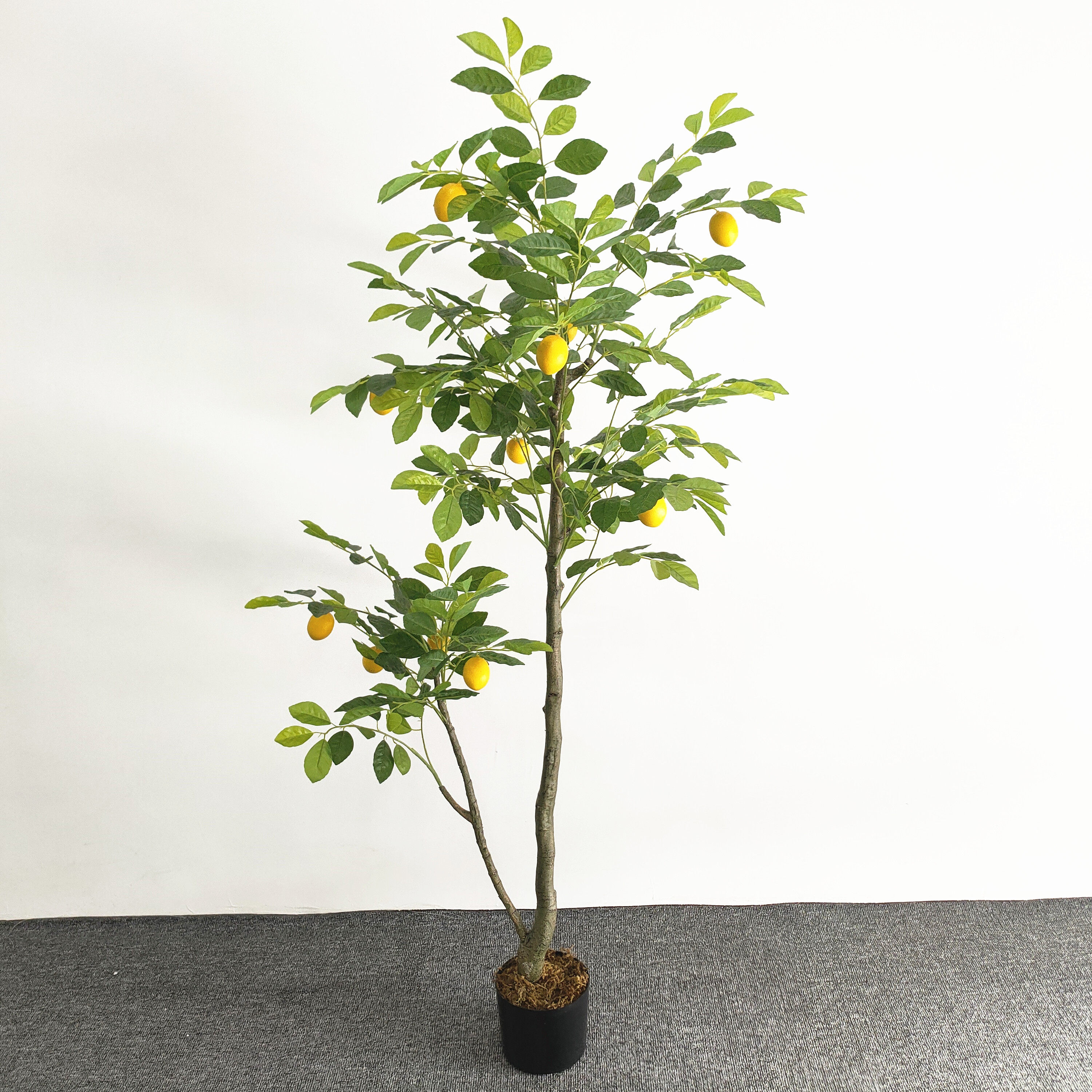 北欧风仿真绿植柠檬树盆栽摆件室内客厅装饰假植物盆景假树仿真树