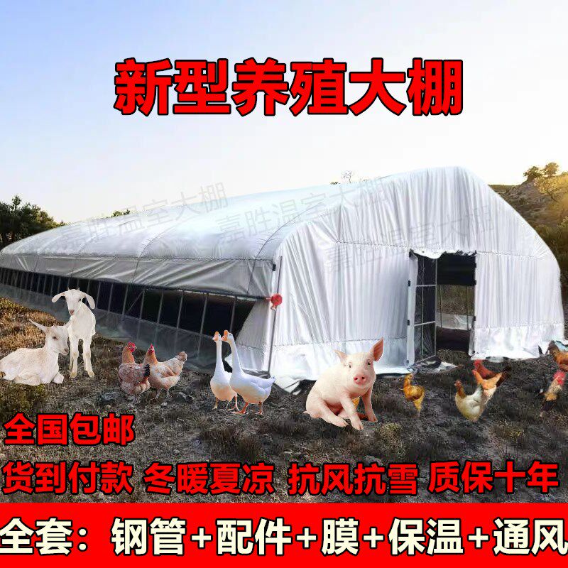 养殖大棚全套猪牛羊鸡鸭鹅养殖大棚骨架钢管家用食用菌温室大棚