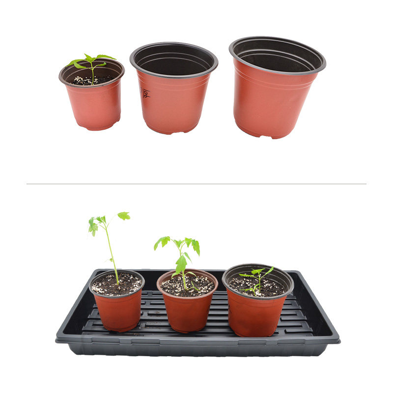 加厚双色盆育苗盆一次性塑料多肉种植盆大号营养杯育苗杯简约花盆
