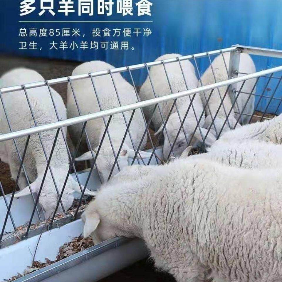 工厂包邮到镇!羊料槽子羊食槽带架子可组装拆卸 经久耐用