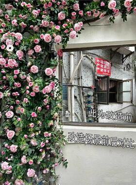 玫瑰网红瀑布打卡花墙仿真假花商场花店引流美陈布置莫奈玫瑰花