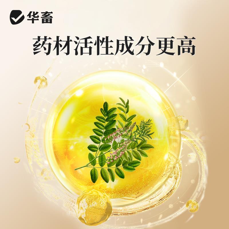 华畜黄芪多糖兽用黄芪提取物黄芪粉猪牛羊鸡鸭黄芪颗粒饲料添加剂