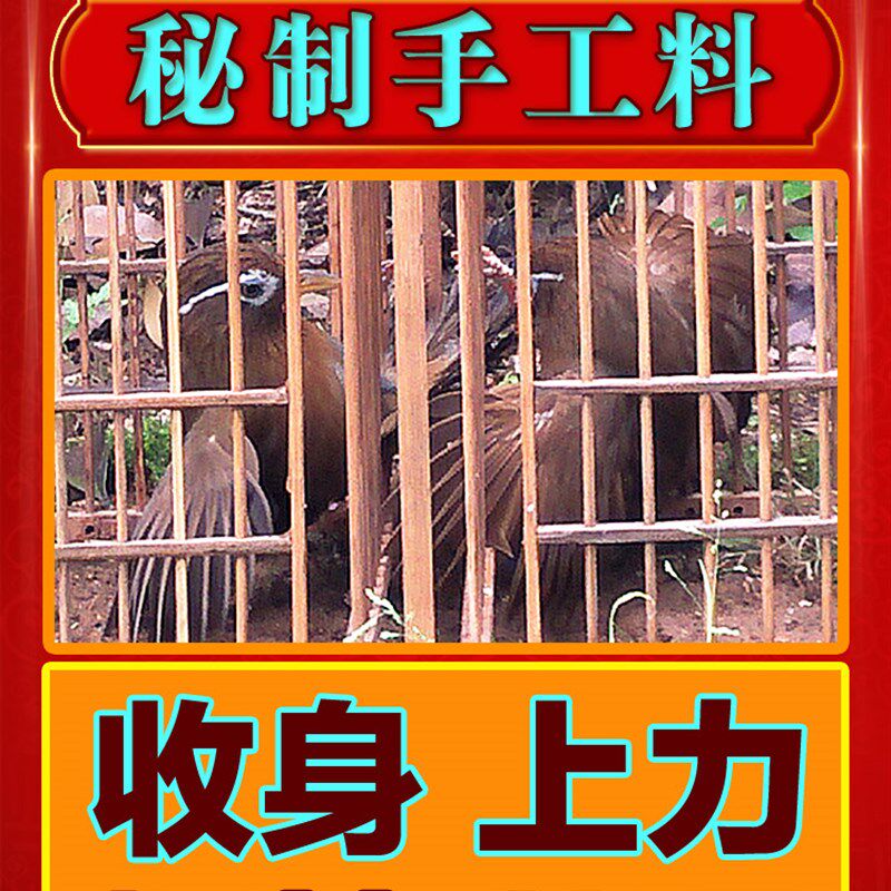 斗雀王 提性壮膘打彩料 手工画眉鸟食饲料斗鸟料收身促火上力比赛