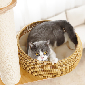 猫爬架猫窝猫树一体藤编猫窝实木通天柱不占地DIY猫别墅城堡柱子