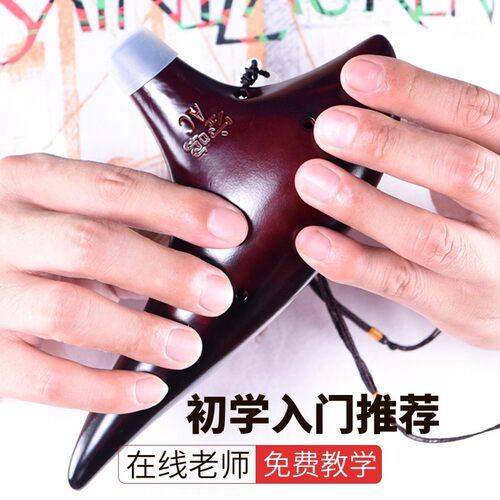 陶笛12孔 初学入门十二孔ac中音C调专业6陶埙陈情笛子学生乐器46