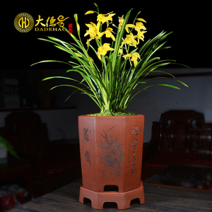 紫砂花盆宜兴陶瓷蓝草绿植盆景盆八方刻绘带托盘君子兰兰花专用盆