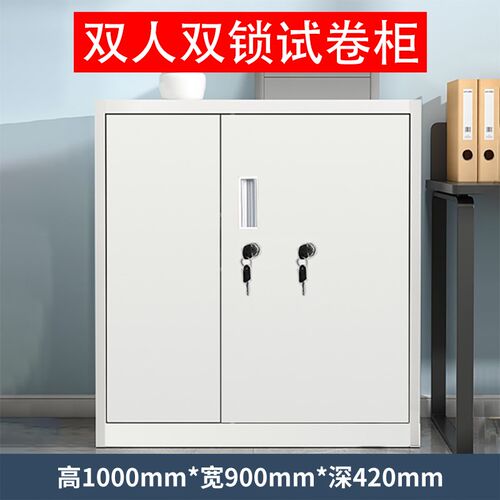 双人双锁保密文件柜药品柜不锈钢食品添加剂专用柜小学试卷存放柜