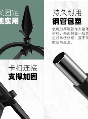 海蒂的花园 园之助小玫瑰花架