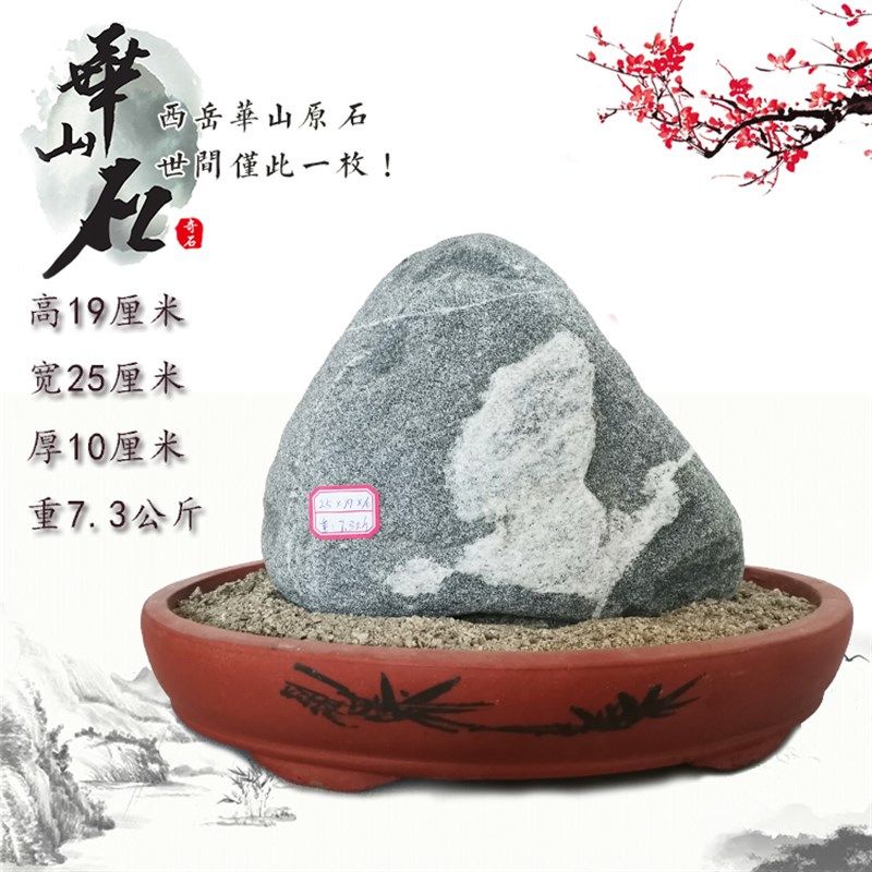 西岳华山石头观赏石画面石图案石客厅庭院摆件天然原石配底座
