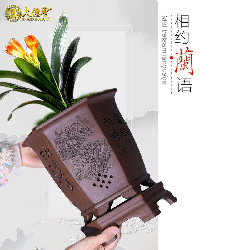 大德号紫砂兰花花盆君子兰蓝草盆景宫灯六方形带托盘盆景专用花瓶