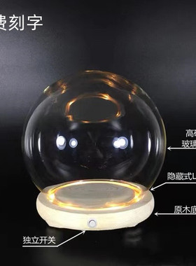 郁金香小夜灯 圆形玻璃罩创意客厅桌面展示罩玩偶防尘罩侧面开关