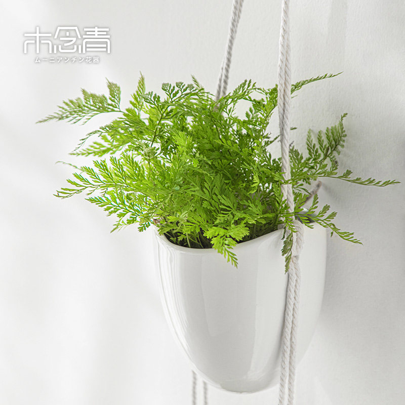 壁挂花盆北欧风陶瓷串联客厅挂墙花器悬挂式墙壁水培花瓶植物吊盆
