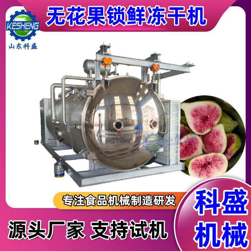 水果片真空锁鲜机 栀子花茉莉花冻干机 风干肉真空冻干机