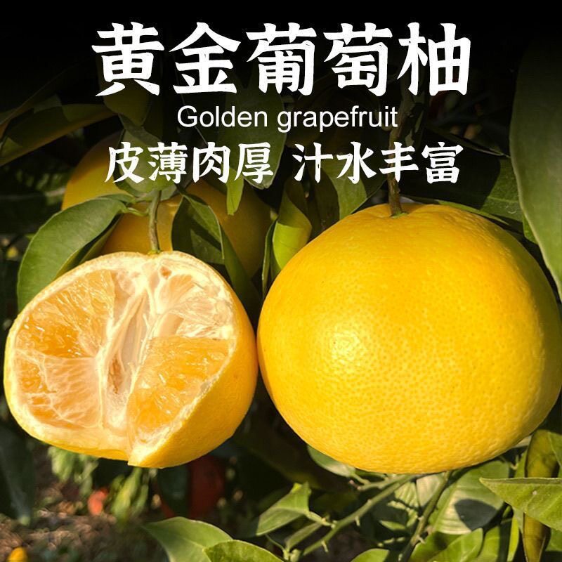 黄金葡萄柚台湾新鲜水果福建平和柚子礼盒装甜非红心西柚多汁应季